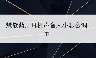 魅族蓝牙耳机声音太小怎么调节