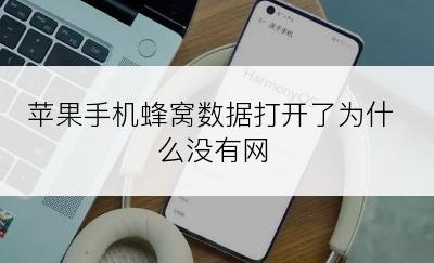 苹果手机蜂窝数据打开了为什么没有网