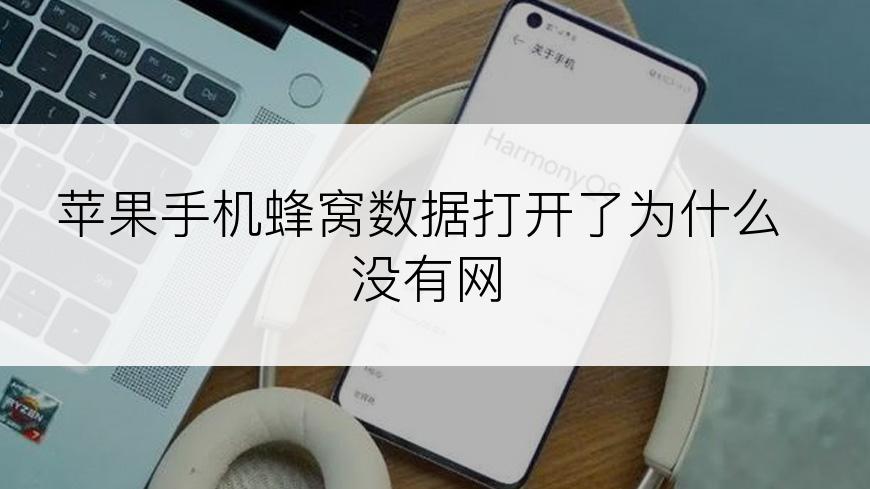 苹果手机蜂窝数据打开了为什么没有网