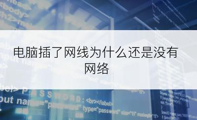 电脑插了网线为什么还是没有网络