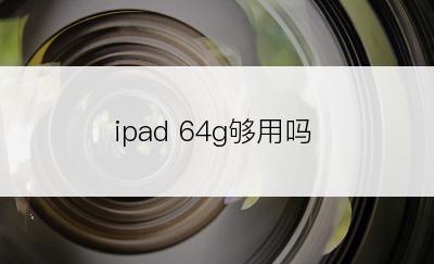 ipad 64g够用吗