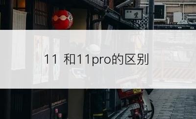 11 和11pro的区别