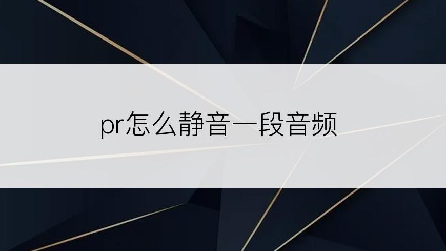 pr怎么静音一段音频