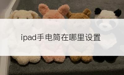 ipad手电筒在哪里设置