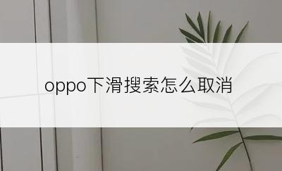 oppo下滑搜索怎么取消