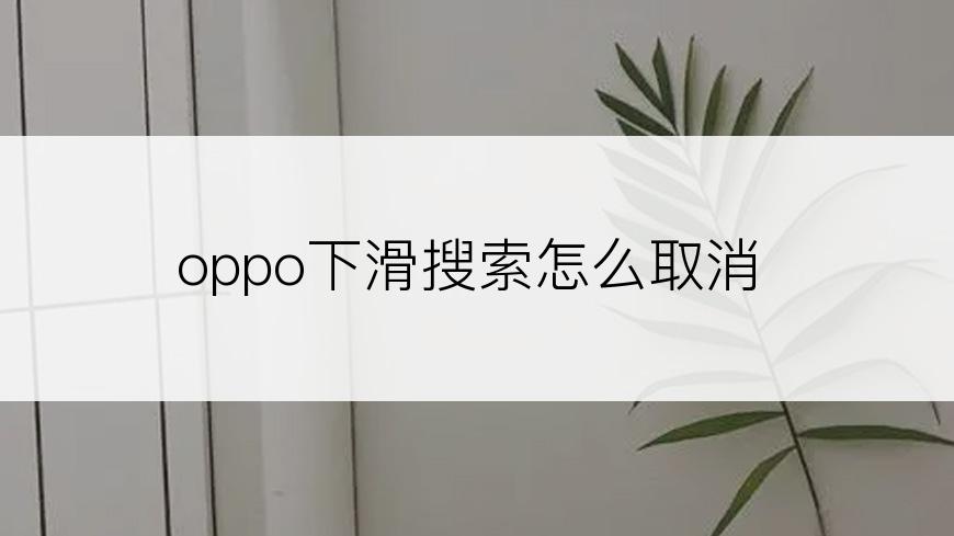 oppo下滑搜索怎么取消