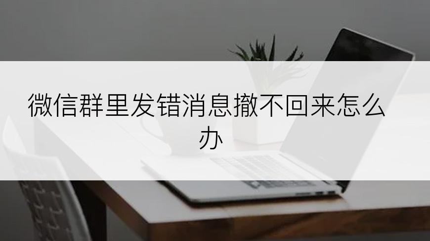 微信群里发错消息撤不回来怎么办