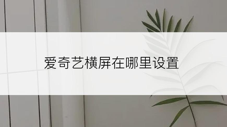 爱奇艺横屏在哪里设置