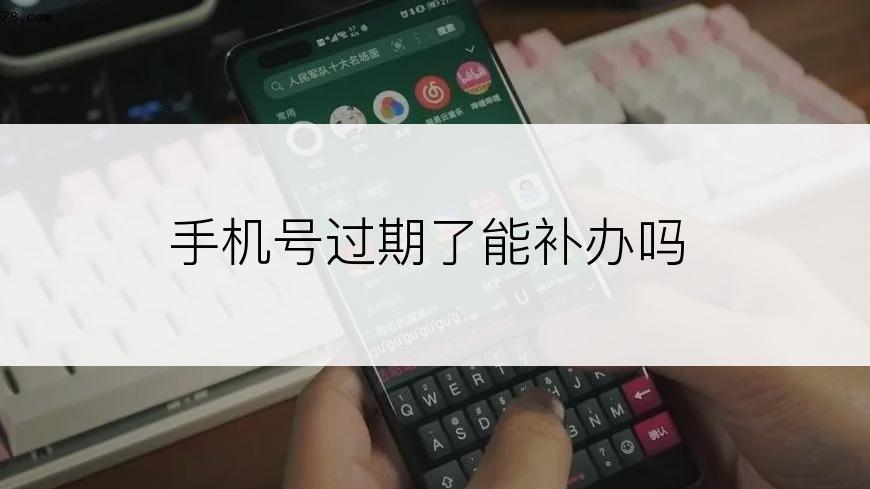 手机号过期了能补办吗