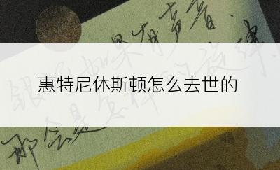 惠特尼休斯顿怎么去世的