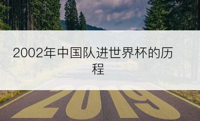 2002年中国队进世界杯的历程