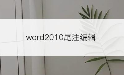 word2010尾注编辑