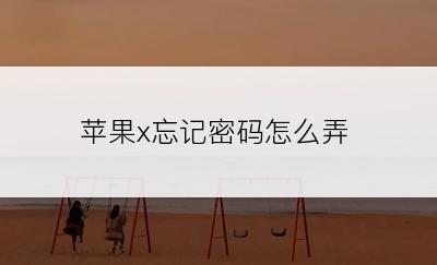 苹果x忘记密码怎么弄