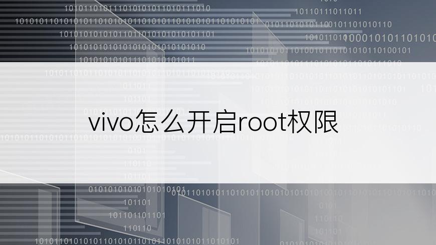 vivo怎么开启root权限