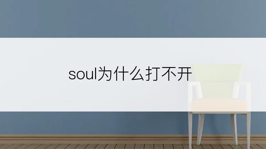 soul为什么打不开