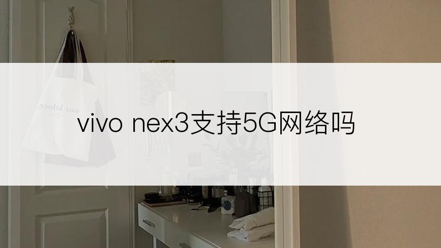 vivo nex3支持5G网络吗