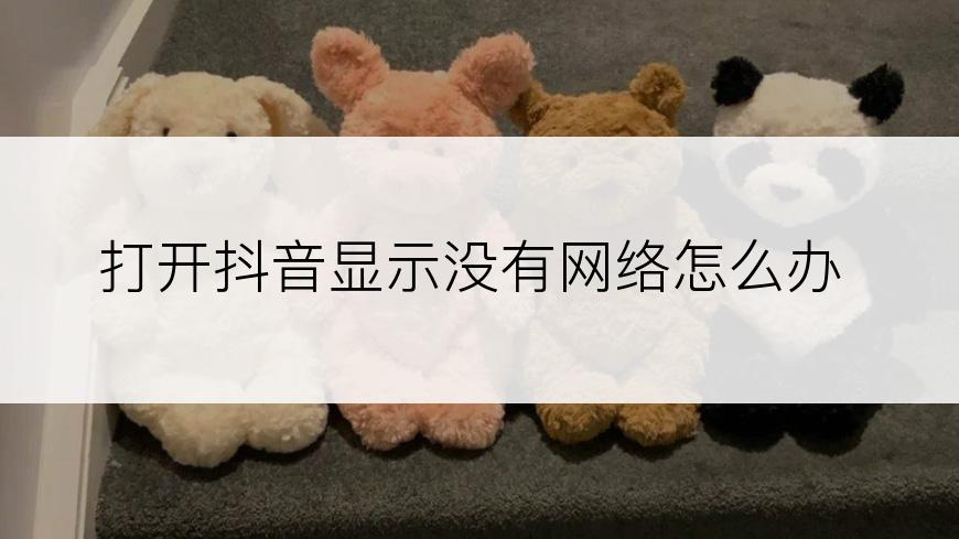 打开抖音显示没有网络怎么办