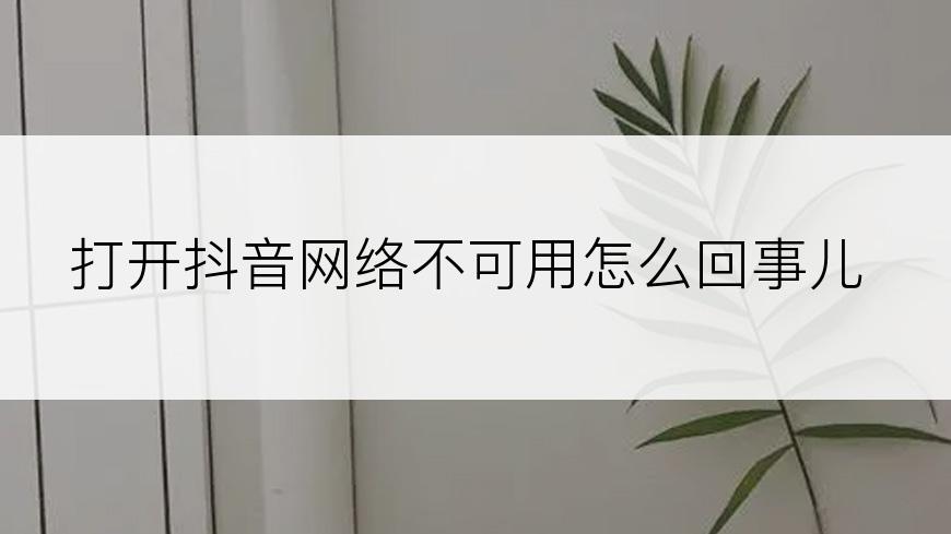 打开抖音网络不可用怎么回事儿