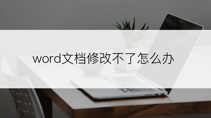 word文档修改不了怎么办