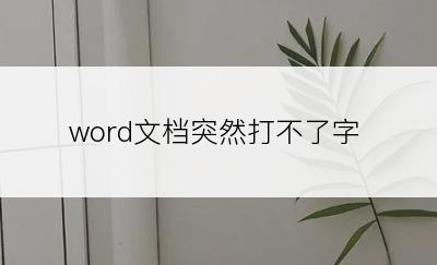 word文档突然打不了字