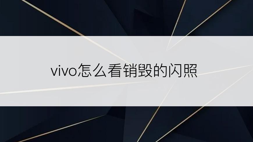 vivo怎么看销毁的闪照