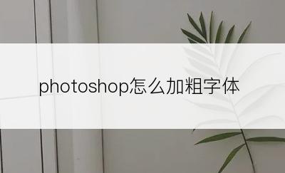 photoshop怎么加粗字体