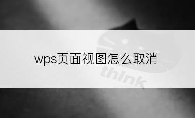 wps页面视图怎么取消