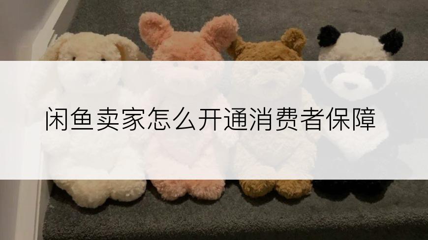 闲鱼卖家怎么开通消费者保障