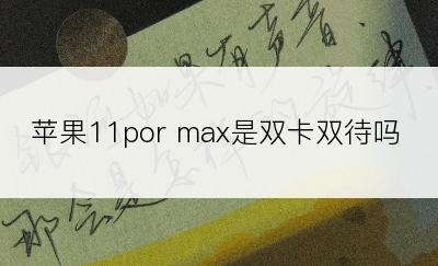 苹果11por max是双卡双待吗