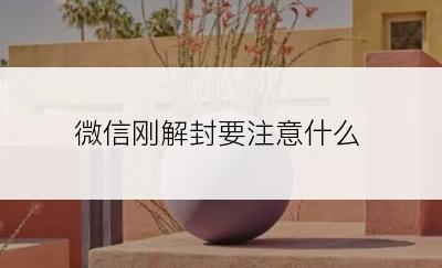 微信刚解封要注意什么