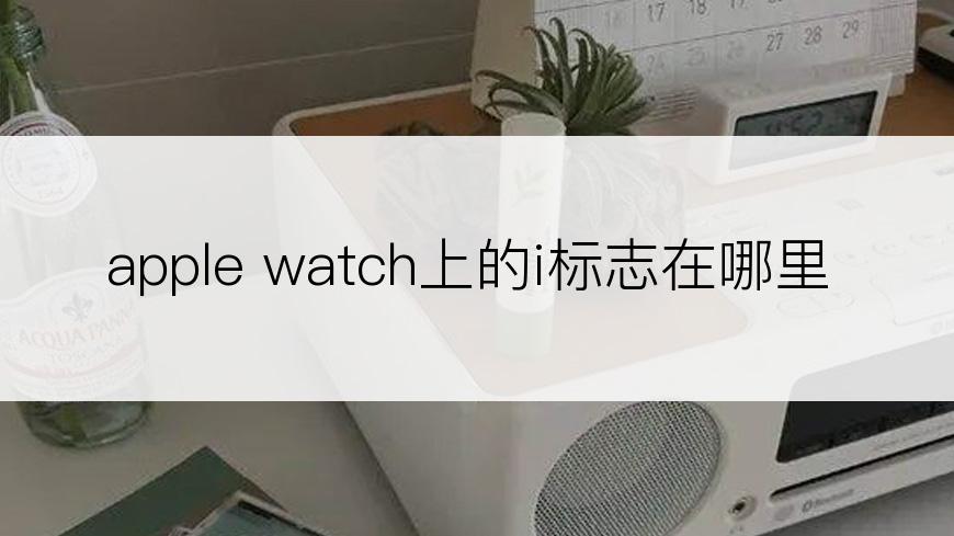 apple watch上的i标志在哪里