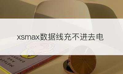 xsmax数据线充不进去电