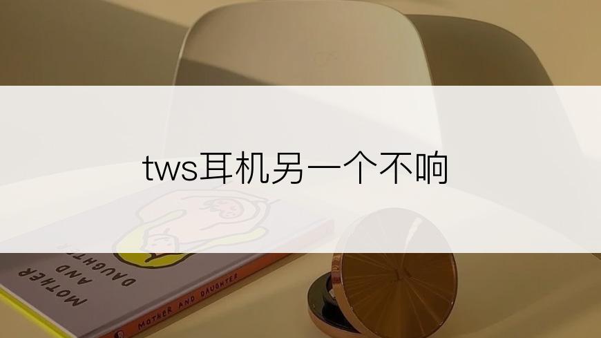 tws耳机另一个不响