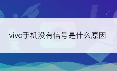 vivo手机没有信号是什么原因