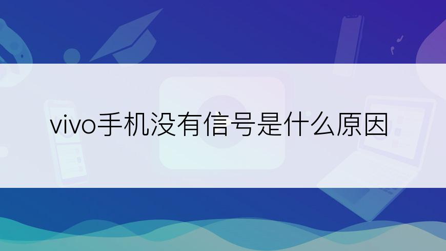 vivo手机没有信号是什么原因