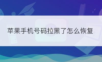 苹果手机号码拉黑了怎么恢复