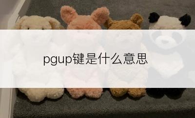 pgup键是什么意思