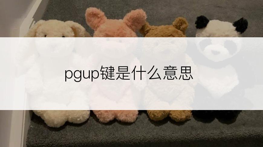 pgup键是什么意思