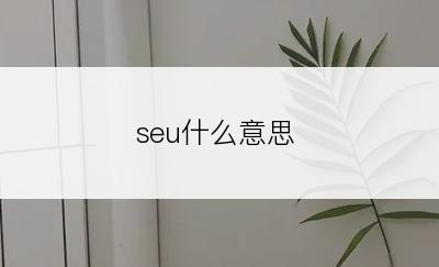 seu什么意思