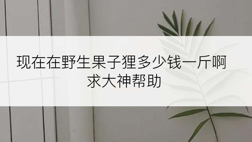 现在在野生果子狸多少钱一斤啊求大神帮助