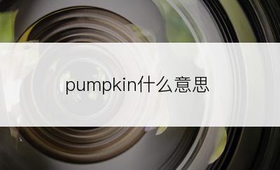 pumpkin什么意思