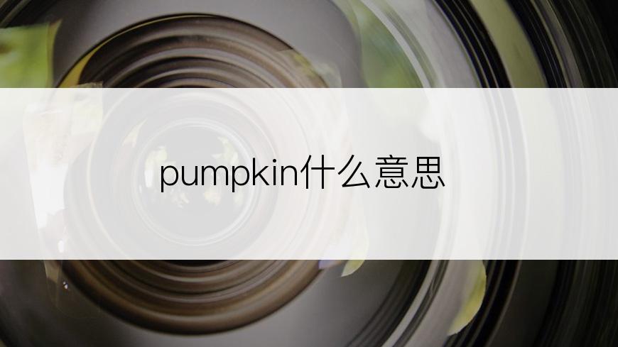 pumpkin什么意思