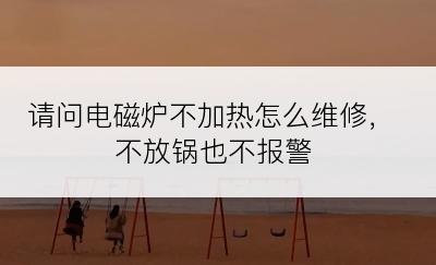 请问电磁炉不加热怎么维修，不放锅也不报警