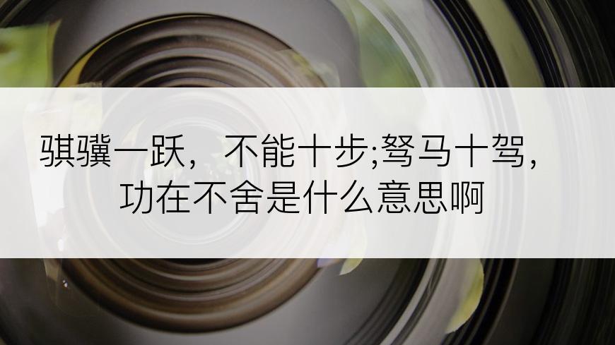 骐骥一跃，不能十步;驽马十驾，功在不舍是什么意思啊