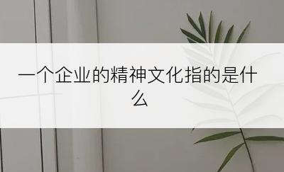 一个企业的精神文化指的是什么