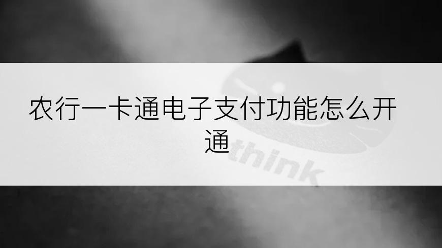 农行一卡通电子支付功能怎么开通