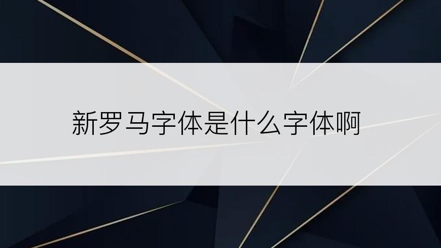 新罗马字体是什么字体啊