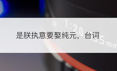 是朕执意要娶纯元，台词