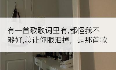 有一首歌歌词里有,都怪我不够好,总让你眼泪掉，是那首歌