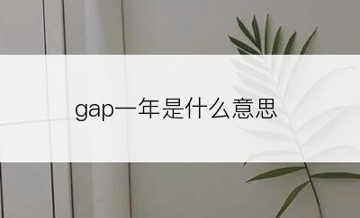 gap一年是什么意思